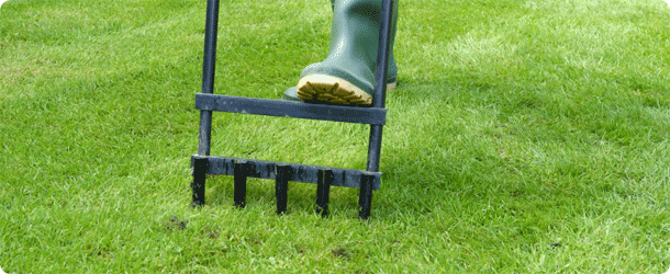 Landscaping 101- When to Aerate your Lawn