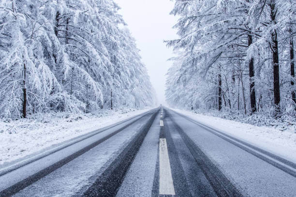 Road Passing Through Snowy Forest