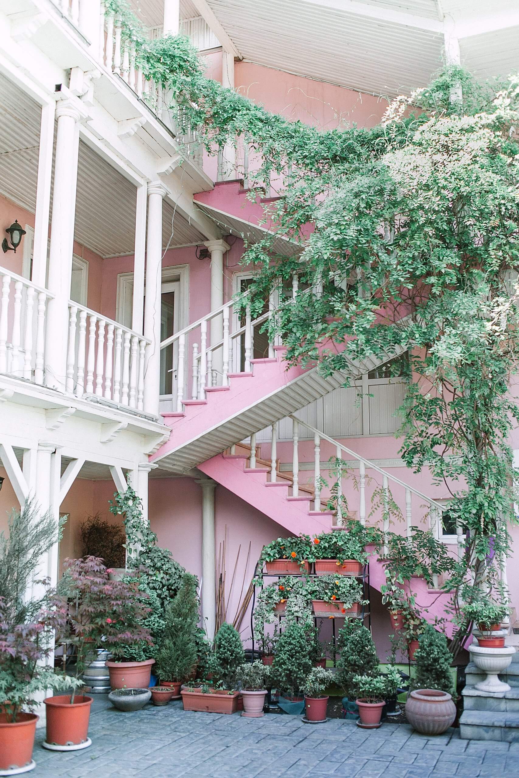 decoration in a patio surrounded by natural flowers