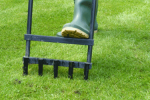 Landscaping 101- When to Aerate your Lawn