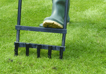 Landscaping 101- When to Aerate your Lawn