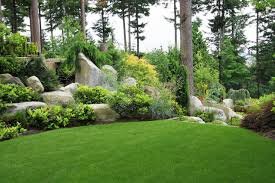 Landscaping Trends for 2015