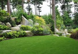 Landscaping Trends for 2015