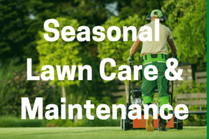 Guide for Seasonal Lawn Care Maintenance in Pennsylvania