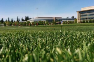 commercial landscaping services essential